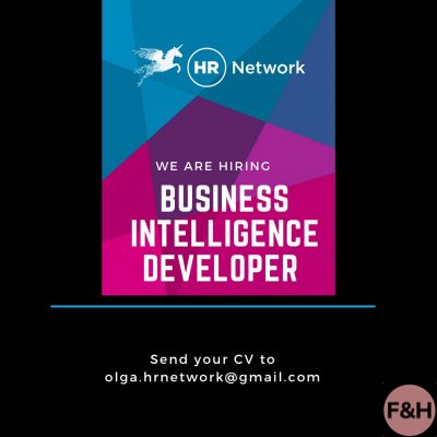 Business Intelligence Developer