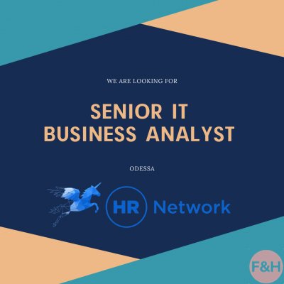 Senior IT Business Analyst